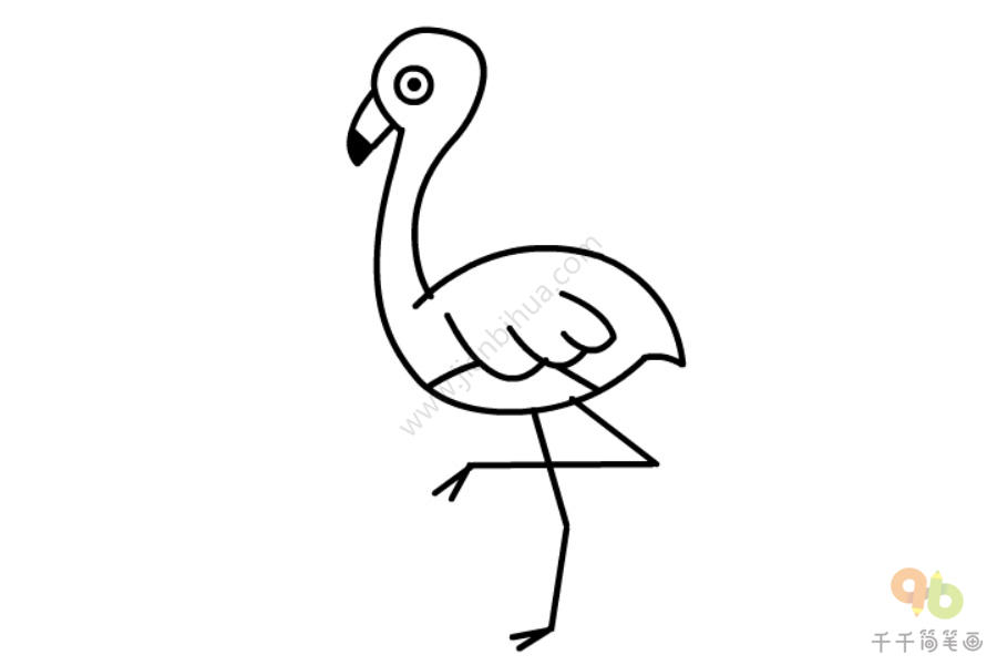 火烈鸟简笔画_简单易学-5