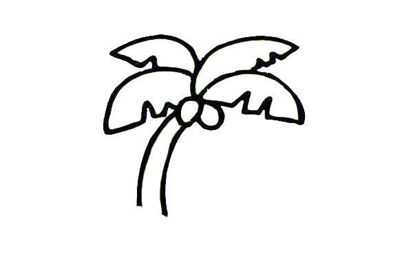 椰子树简笔画-3