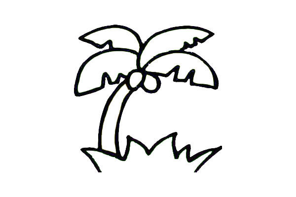 椰子树简笔画-4