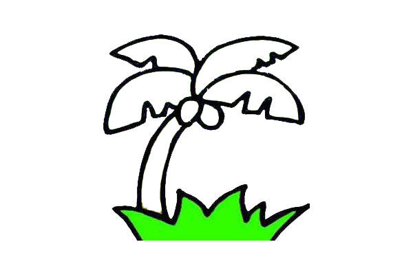 椰子树简笔画-5