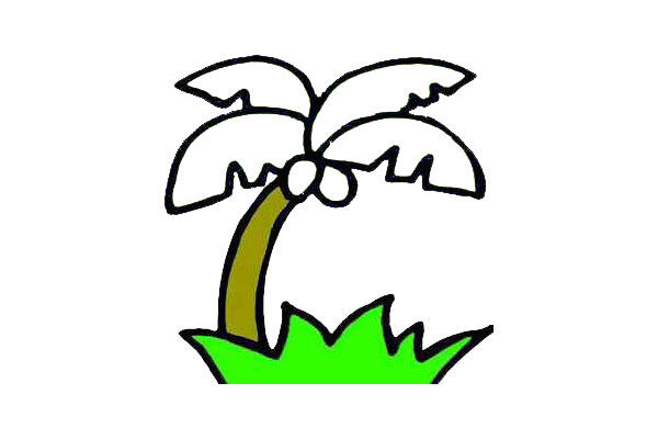 椰子树简笔画-6