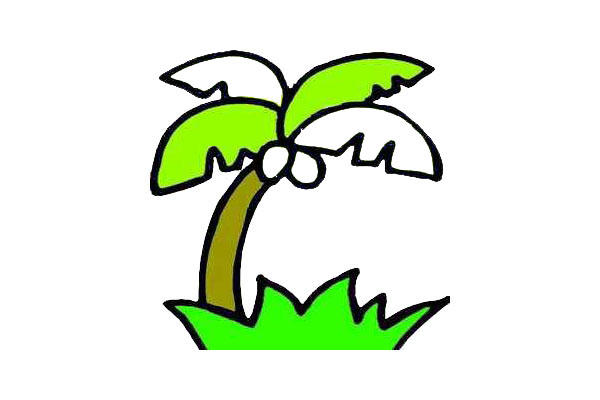 椰子树简笔画-7