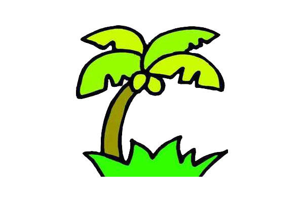 椰子树简笔画-8