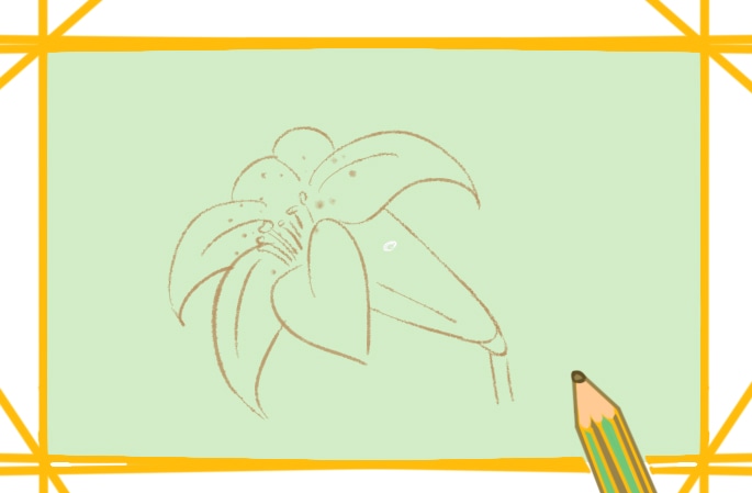 淡雅的百合花简笔画-4