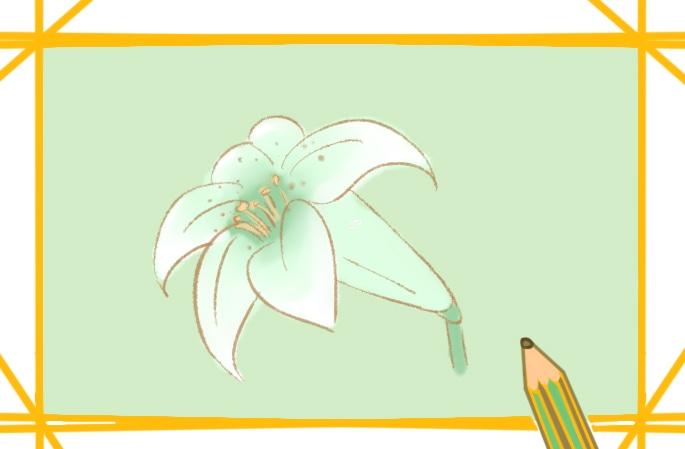 淡雅的百合花简笔画-5