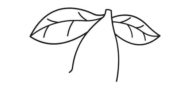 红红的大樱桃简笔画-2