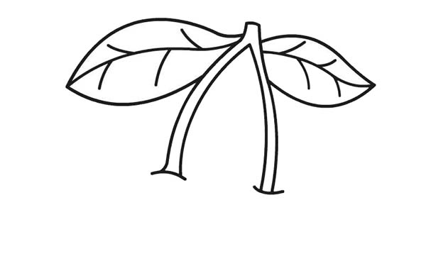 红红的大樱桃简笔画-3