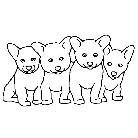 四只宠物小狗简笔画-1