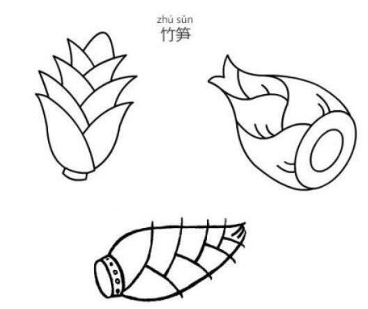 春天竹笋怎么画-1
