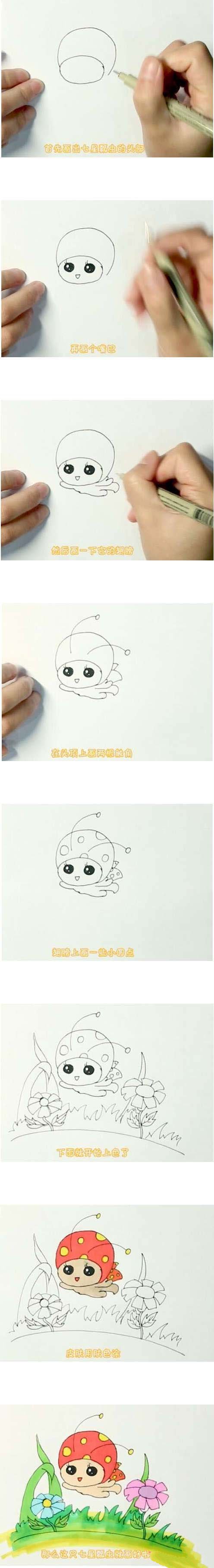 飞舞的七星瓢虫简笔画-1