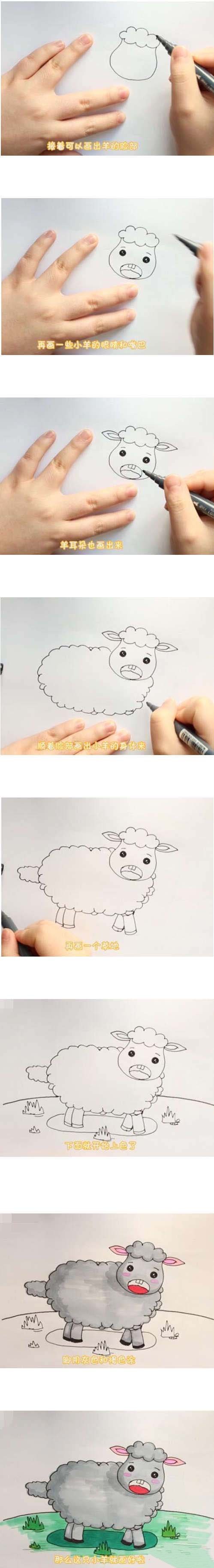 山坡上小绵羊简笔画-1