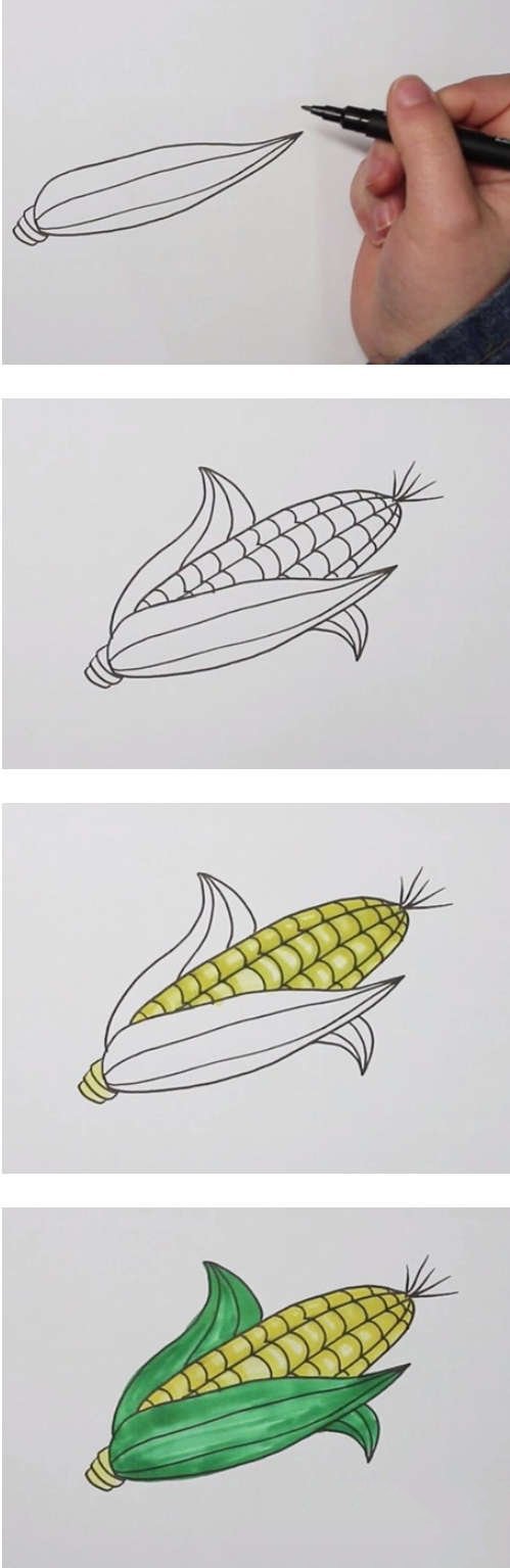 玉米棒简笔画-1