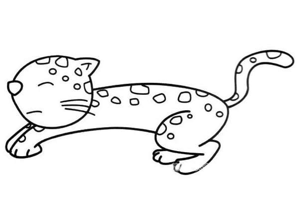 小花猫简笔画-1