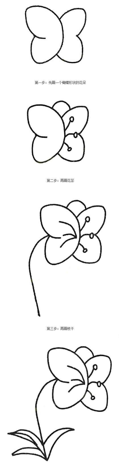 蝴蝶兰植物简笔画-1
