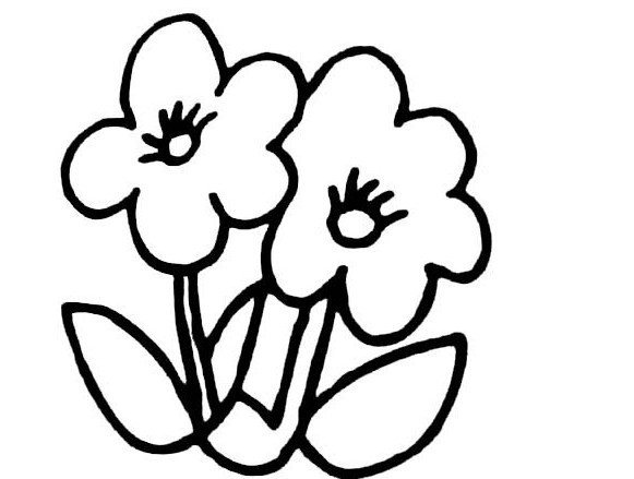 好看的两朵小花简笔画-1