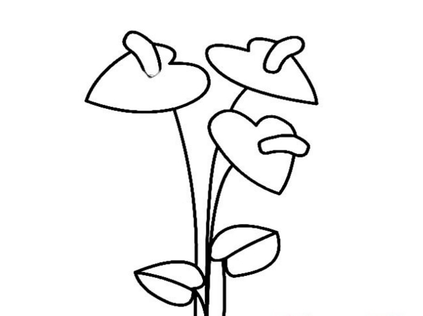 好看的两朵小花简笔画-2
