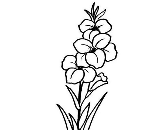 好看的两朵小花简笔画-5