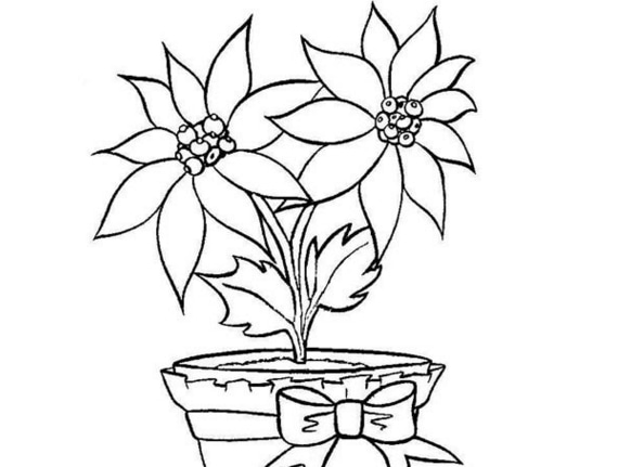 好看的两朵小花简笔画-7