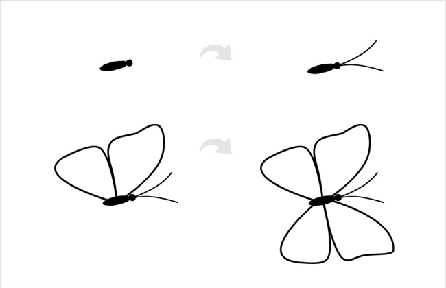 蓝色花蝴蝶简笔画步骤画法教程-2