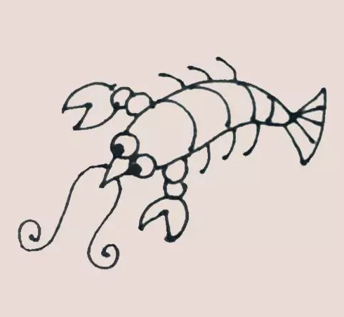 小龙虾简笔画-6