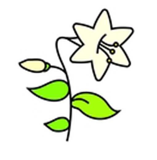 儿童带颜色的百合花简笔画图片-1
