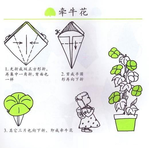 儿童折纸：牵牛花的手工折法!-1