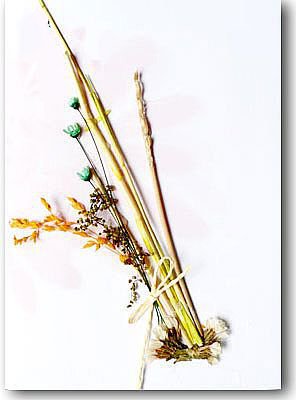 手工制作元旦贺卡:干花贺卡DIY作品欣赏-2