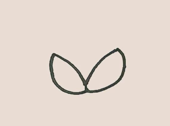 简笔画之荔枝-2