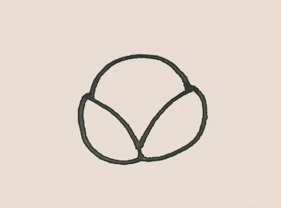 简笔画之荔枝-3