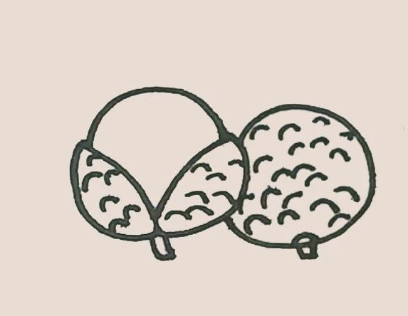 简笔画之荔枝-6