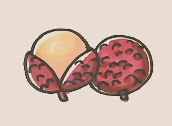 简笔画之荔枝-7