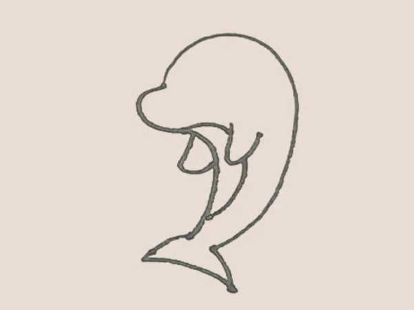 简笔画之海豚-4