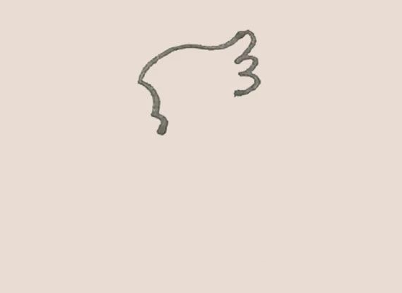 简笔画之鹦鹉-2