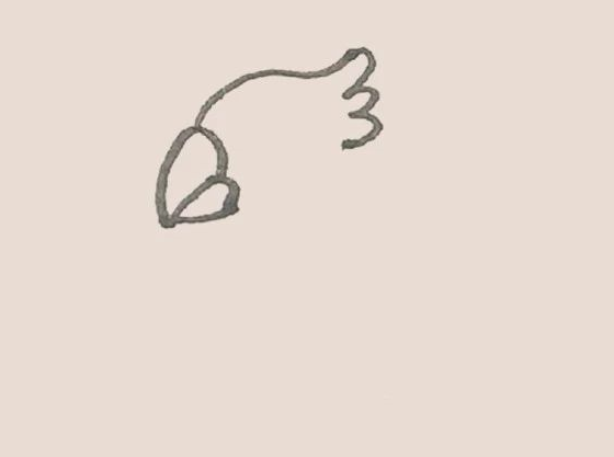 简笔画之鹦鹉-3