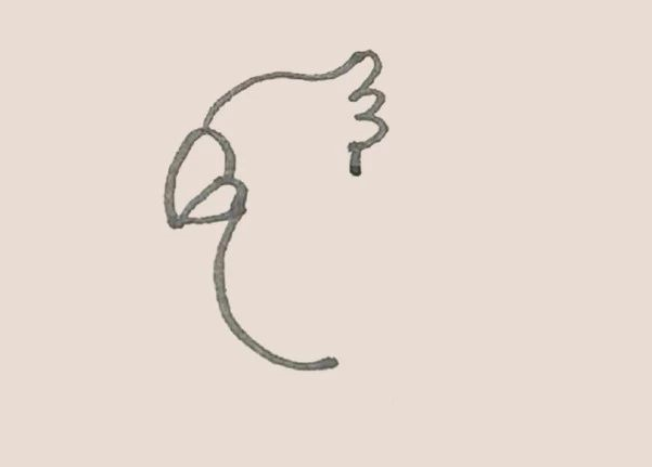 简笔画之鹦鹉-4