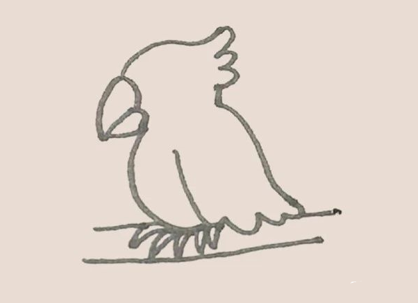 简笔画之鹦鹉-7