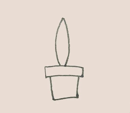 简笔画之虎皮兰-3