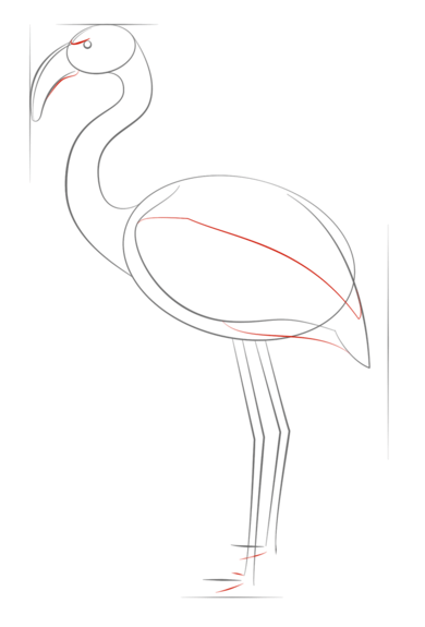 如何画火烈鸟-6