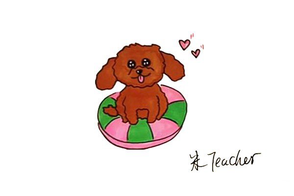 泰迪犬怎么画-1