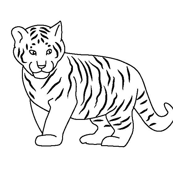 动物简笔画_老虎宝宝简笔画图片-1