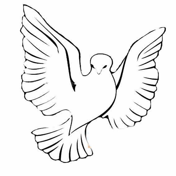 国庆节和平鸽简笔画-1
