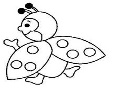 七星瓢虫成了我最尊敬的老师-1