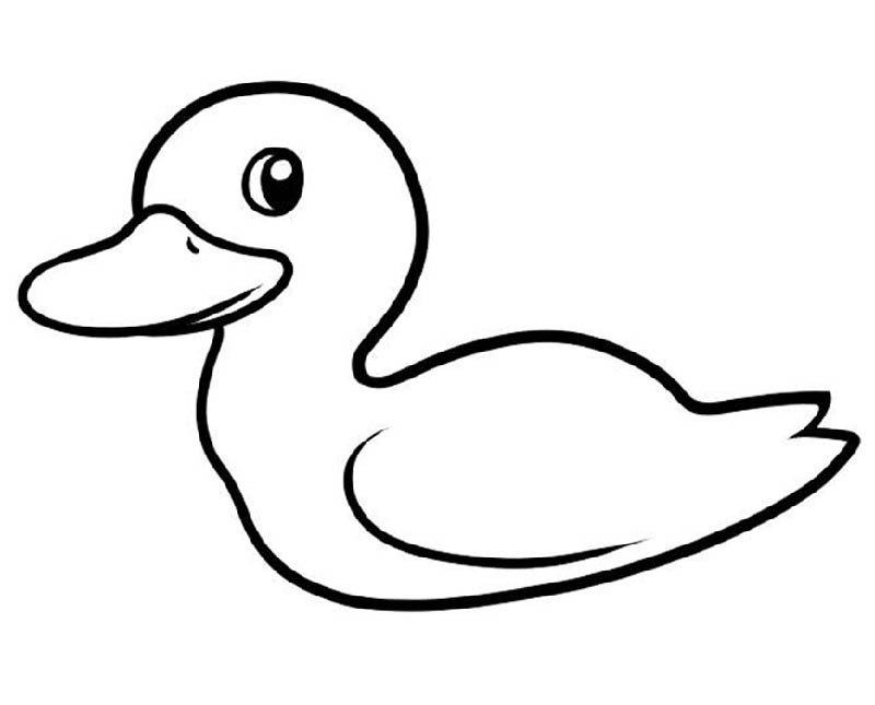 幼儿园小鸭子的画法-1