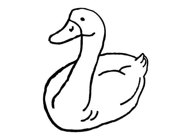 水里的小鸭子简笔画-3