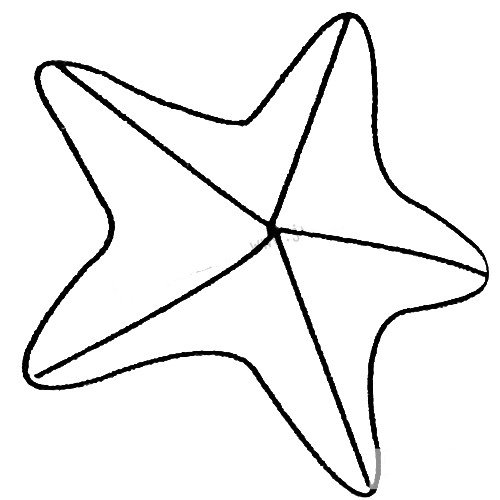 海星简笔画大全及画法步骤-4