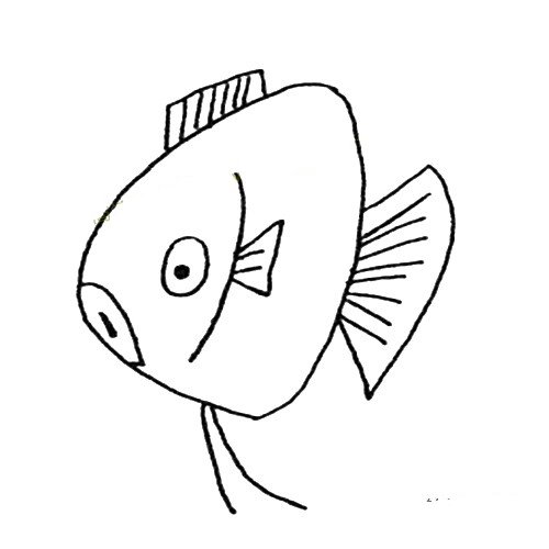 热带鱼简笔画图片大全-3