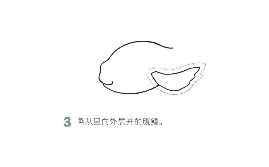 一步一步学画漂亮的金鱼-3