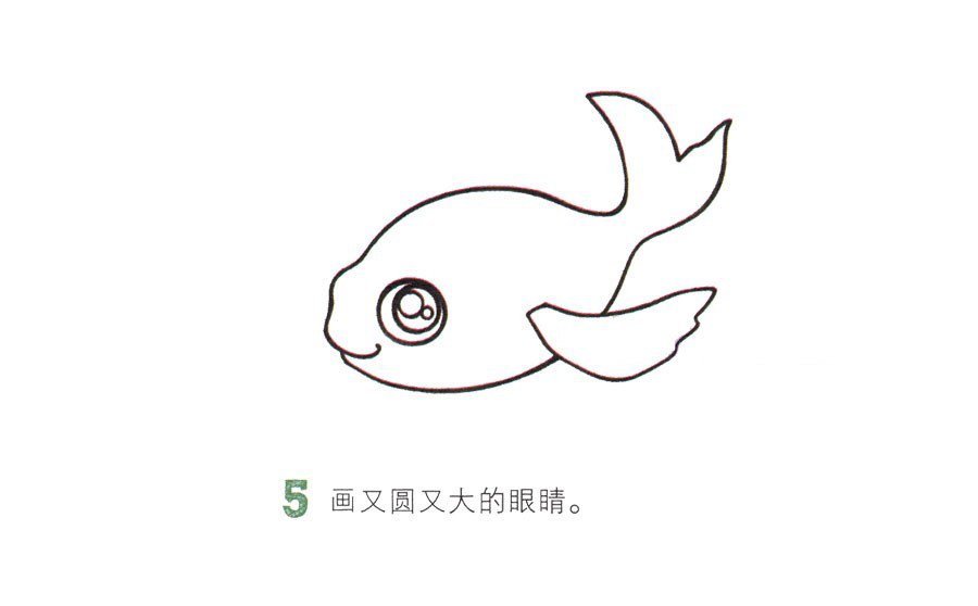 一步一步学画漂亮的金鱼-5