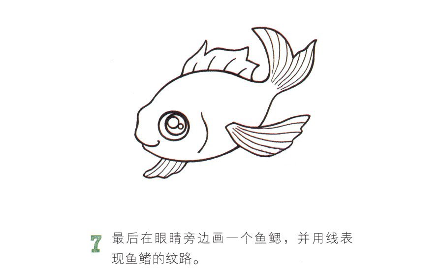 一步一步学画漂亮的金鱼-7