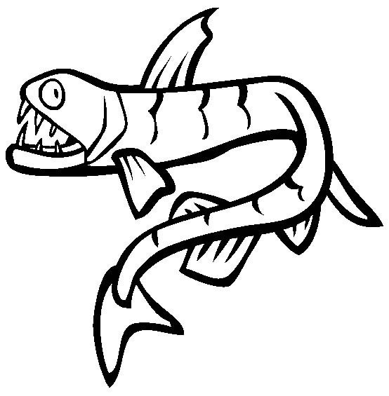 海洋生物图片_蝰鱼简笔画图片-1